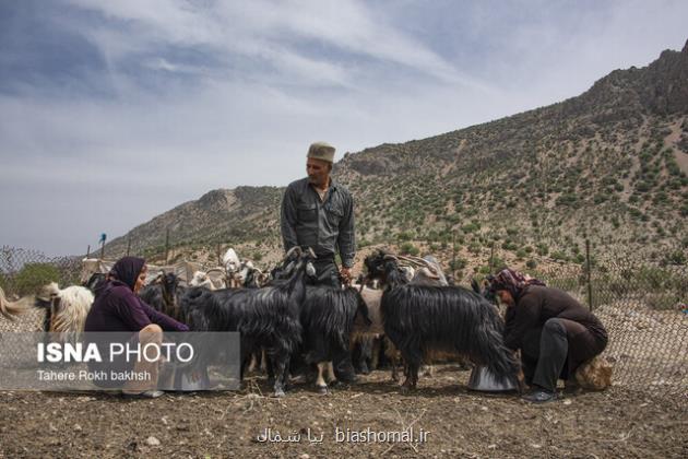 نصب و راه اندازی سامانه های خورشیدی در ییلاقات عشایری تهران